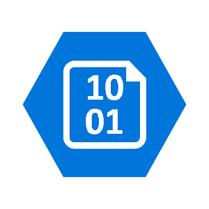 A blue hexagonal icon featuring a white outline of a document with binary numbers 10 and 01.